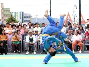 National martial arts championship open in Hue  - ảnh 1